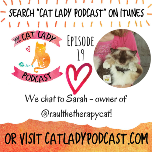 B2B_Marketers_CatLady_Podcast