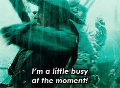 pirates of the caribbean busy gif