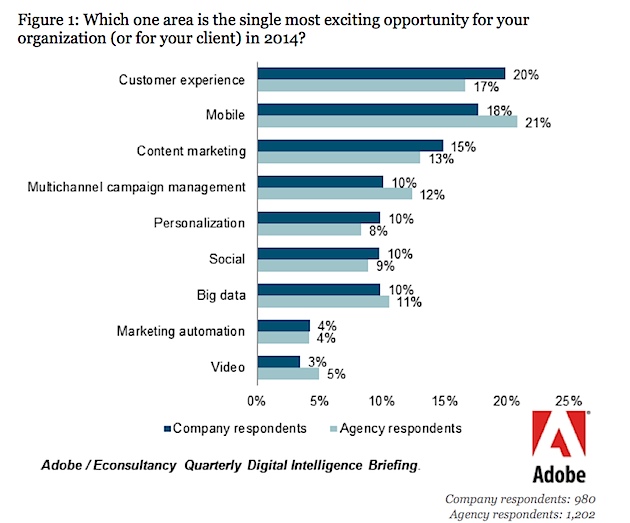 A recent report by Adobe and Econsultancy found that 20% of client-side marketers said the customer experience is the single most exciting opportunity for their company this year. 