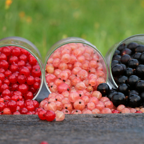 The Rule Of Thirds: Why Advocates Need Asks, Education And Fun To Stay Engaged