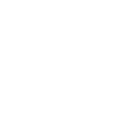 PGi